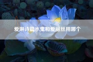 爱琳诗篇水鬼和爱丽丝用哪个