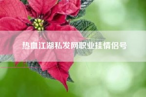 热血江湖私发网职业挂情侣号