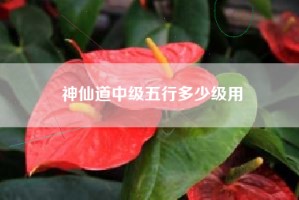 神仙道中级五行多少级用