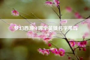 梦幻西游SF哪个英雄名字带辉