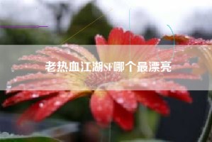 老热血江湖SF哪个最漂亮