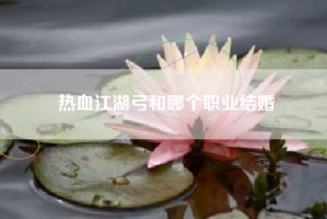 热血江湖弓和哪个职业结婚