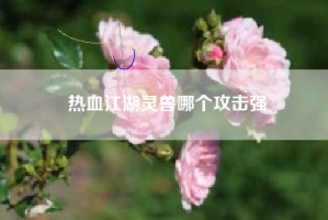 热血江湖灵兽哪个攻击强