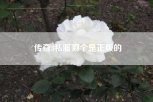 传奇3私服哪个是正版的