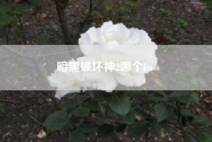 暗黑破坏神2哪个boss