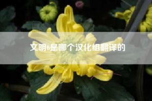 文明6是哪个汉化组翻译的