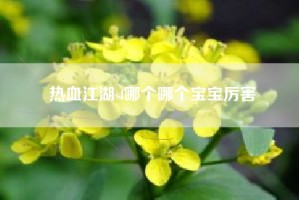 热血江湖sf哪个哪个宝宝厉害