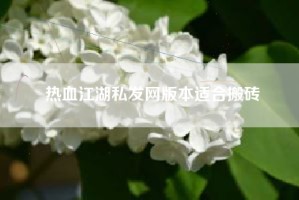 热血江湖私发网版本适合搬砖