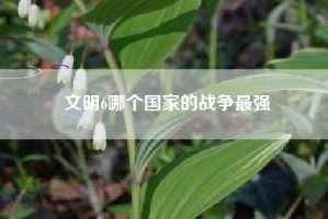 文明6哪个国家的战争最强