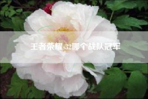 王者荣耀s32哪个战队冠军