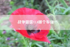 战争雷霆11.0哪个车强