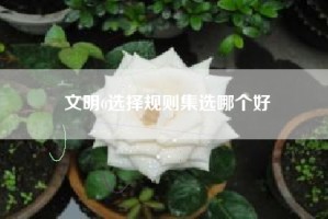 文明6选择规则集选哪个好