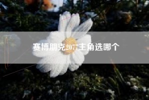 赛博朋克2077主角选哪个