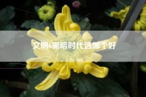 文明6黑暗时代选哪个好