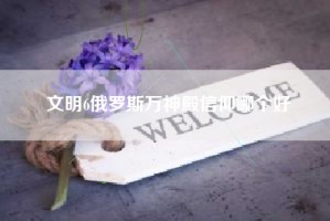 文明6俄罗斯万神殿信仰哪个好