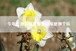 今年王者荣耀夏季赛冠军是哪个队