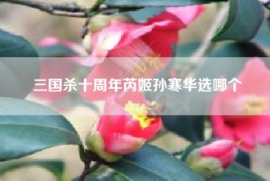 三国杀十周年芮姬孙寒华选哪个