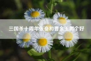 三国杀十周年张奋和曹金玉哪个好