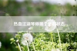 热血江湖琴师哪个是群状态