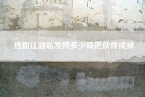 热血江湖私发网多少级把伙伴成神