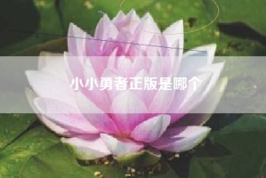 小小勇者正版是哪个