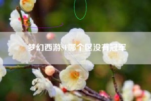 梦幻西游SF哪个区没有冠军