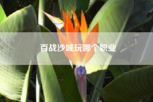 百战沙城玩哪个职业