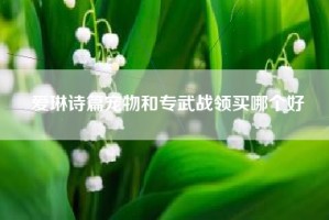 爱琳诗篇宠物和专武战领买哪个好