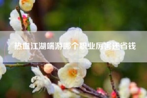 热血江湖端游哪个职业厉害还省钱