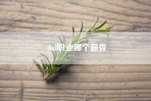 dnf职业哪个最香