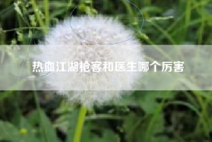 热血江湖枪客和医生哪个厉害