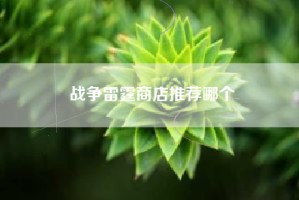 战争雷霆商店推荐哪个