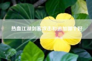 热血江湖剑客攻击和追加哪个好