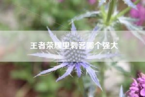 王者荣耀里刺客哪个强大