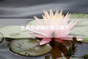 王者荣耀澜和要买哪个