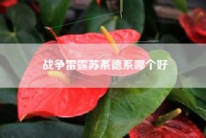 战争雷霆苏系德系哪个好