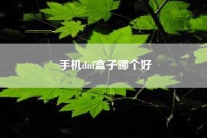 手机dnf盒子哪个好