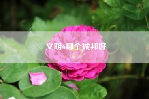 文明6哪个城邦好