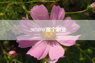 2021DNF哪个职业