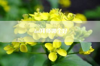 dnf拜师哪个好