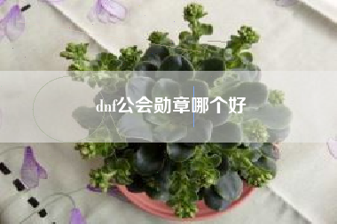 dnf公会勋章哪个好