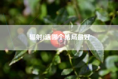 辐射4选哪个结局最好