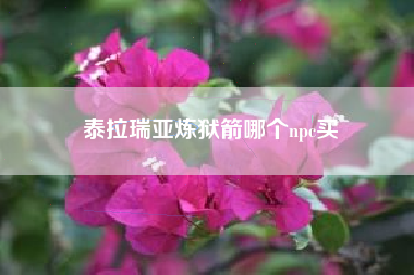 泰拉瑞亚炼狱箭哪个npc买