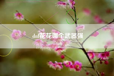 dnf花花哪个武器强