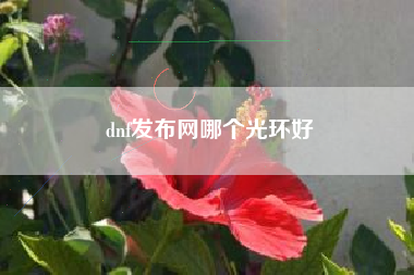 dnf发布网哪个光环好