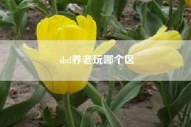 dnf养老玩哪个区