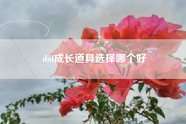 dnf成长道具选择哪个好