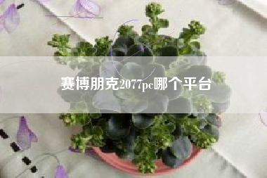 赛博朋克2077pc哪个平台