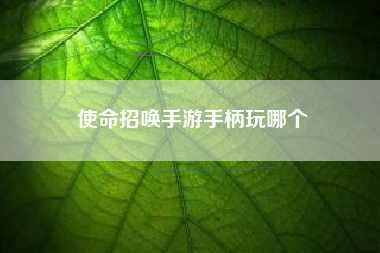 使命招唤手游手柄玩哪个