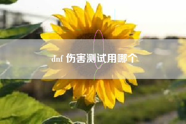 dnf 伤害测试用哪个